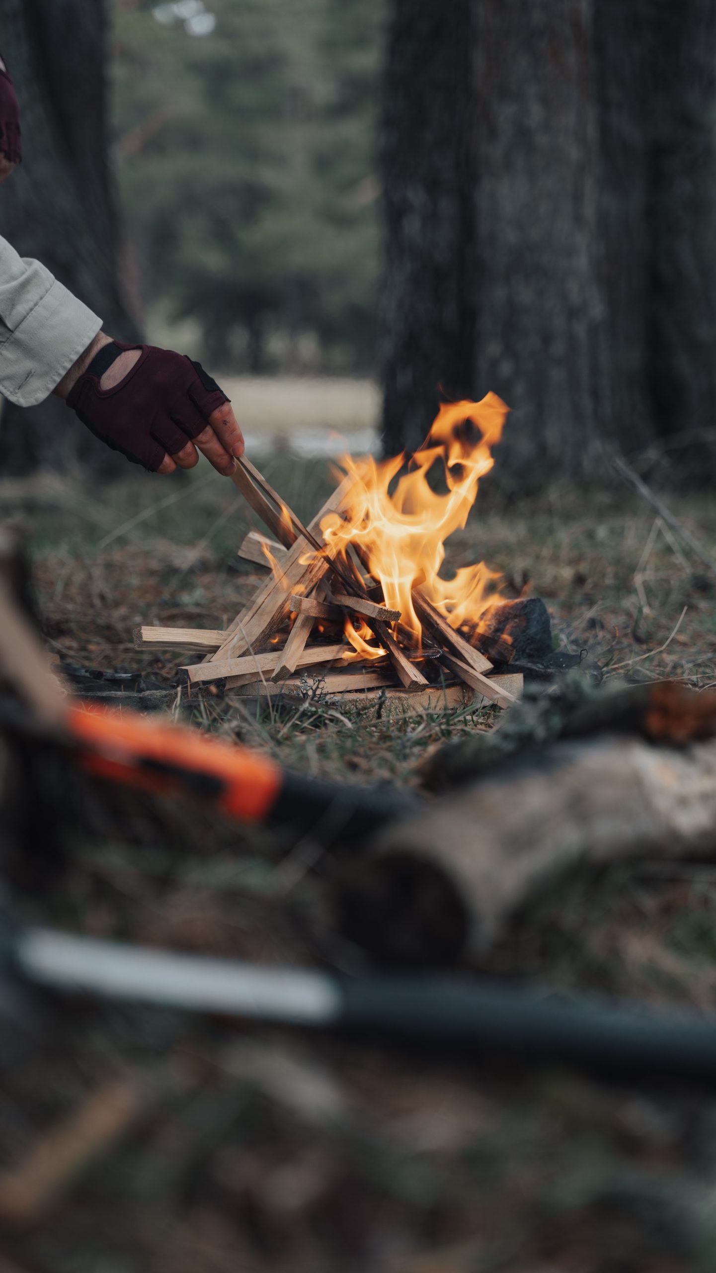 Survival Gear for Every Environment: Choosing Wisely